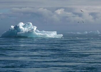 Corporate America Poised to Reveal Game-Changing Climate Insights!