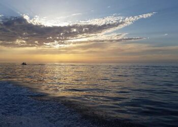 Global Crackdown: The Fall of the 911 S5 Botnet and Its Mastermind!