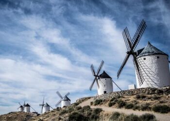 Creating a Sustainable Future: The d’ONS Foundation’s Impact on Suriname’s Green Revolution