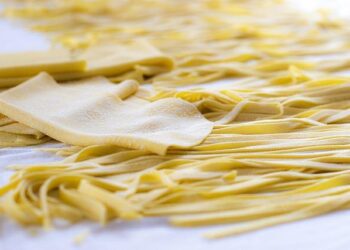 Unlocking America’s Manufacturing Future: The Dominican Republic’s Key Role in Workforce Revival