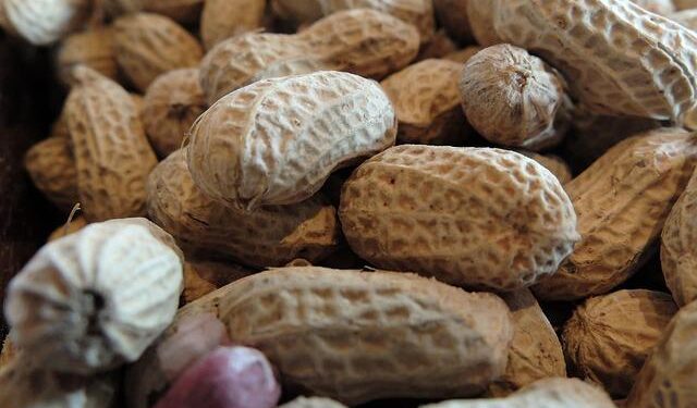 Fentanyl Kingpin’s Daring Escape Ends in Capture in Cuba!