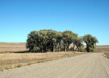 Rural America Revealed: Challenging Myths About Population Decline and the 2024 Election Landscape