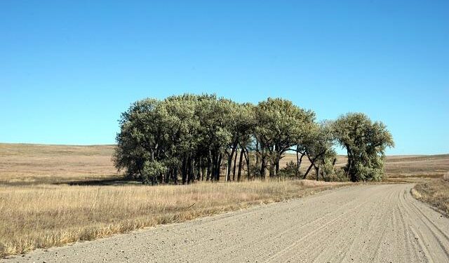 Rural America Revealed: Challenging Myths About Population Decline and the 2024 Election Landscape