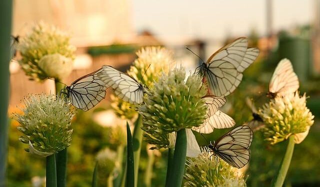 Decoding the 42-Year Legacy of the US Invasion of Grenada: Reagan’s Bold Strategic Gamble