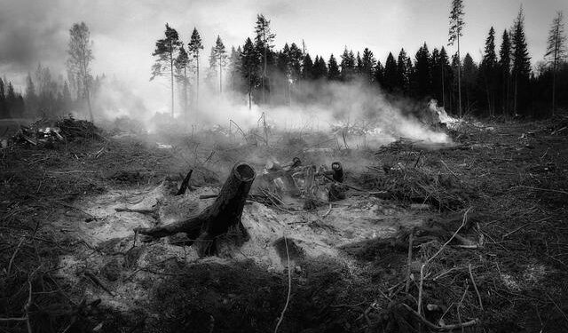 Wildfires Rage in the West, Unleashing Stunning ‘Fire Clouds’ and Chaotic Weather Patterns
