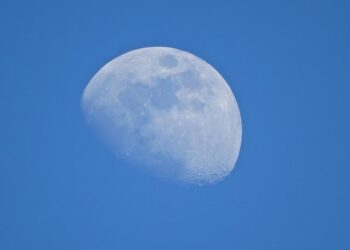 Uncover the Hidden Treasures of French Guiana: The Ultimate Guide to Budget-Friendly Adventures!