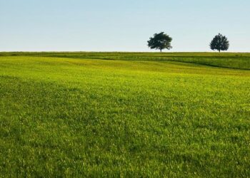 From Green to Gold: How One of the World’s Most Eco-Friendly Nations is Embracing Oil