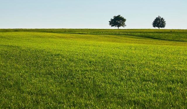 From Green to Gold: How One of the World’s Most Eco-Friendly Nations is Embracing Oil