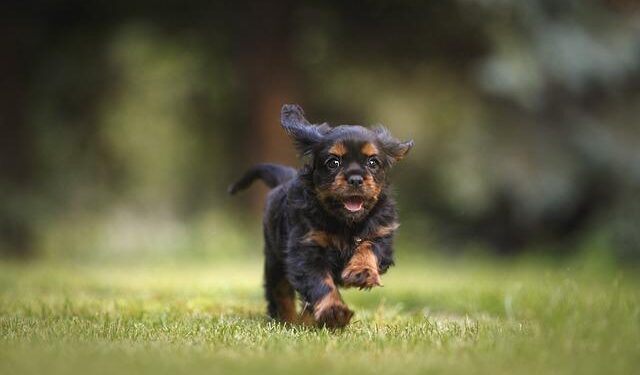 Revealed: The Most Hated Team in America – Cleveland Cavaliers Take the Spotlight!