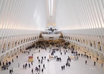 Embark on an Unforgettable Adventure Aboard the MSC World America!