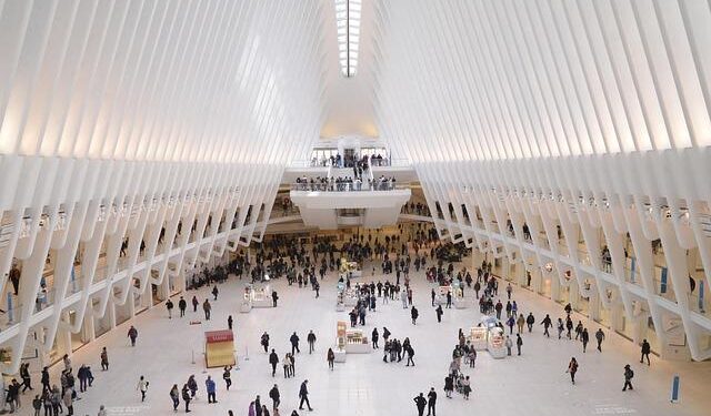 Embark on an Unforgettable Adventure Aboard the MSC World America!