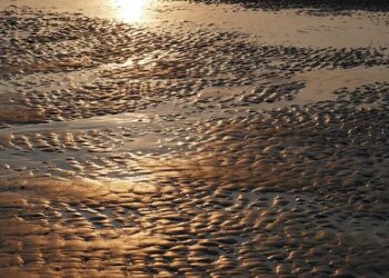 Calling All Returning Nationals: Unite to Combat Scams!