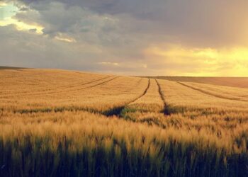 Uruguay Pioneers Resilience: The First South American Nation to Embrace the IOM Campaign!