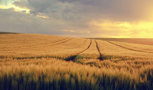 Uruguay Pioneers Resilience: The First South American Nation to Embrace the IOM Campaign!