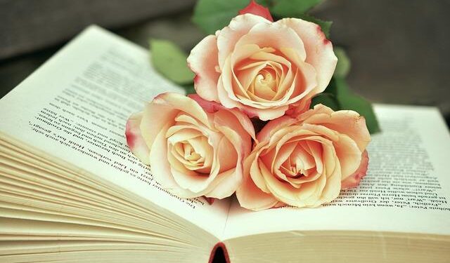 Uncover 10 Essential Books to Understand America’s Journey as We Celebrate 250 Years!