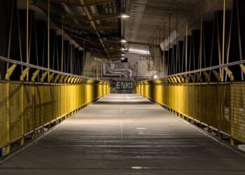 Revolutionary Wildlife Overpass Opens: A Sanctuary for North America’s Animals!