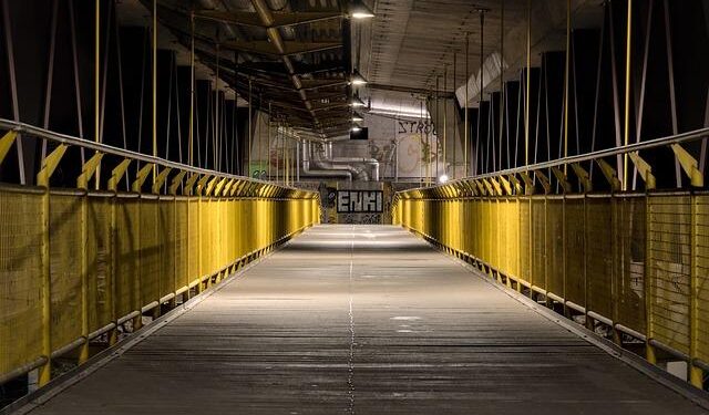 Revolutionary Wildlife Overpass Opens: A Sanctuary for North America’s Animals!