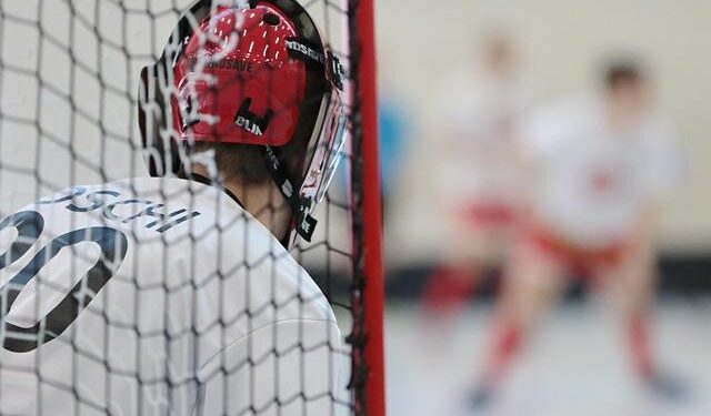 Unleashing the Power: Arizona’s Dominant Defensive Stars of the Season