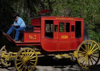 Canada’s Coach Marsch Gears Up for Exciting January Camp with North American Talent!