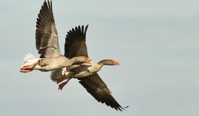 Latin America and the Caribbean: Embracing Change Amidst Rising Migration and Uncertainty