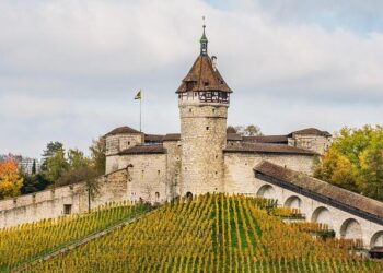 Game-Changing Defensive X-Factors to Watch in Arizona’s Bowl Showdown!