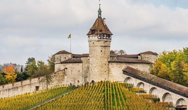 Game-Changing Defensive X-Factors to Watch in Arizona’s Bowl Showdown!