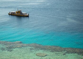 Unveiling Paradise: An Enchanting Experience at The Reefs Resort & Club in Bermuda