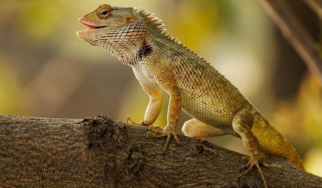 Revealing the Sinister Ties of Colonialism: The Chilling Link Between Lizards, Snakes, and Bones