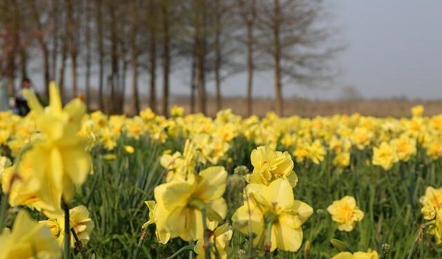 Meet Kenny Cole: The Alabama Attorney Revolutionizing Justice and Elevating Community Safety, One Case at a Time