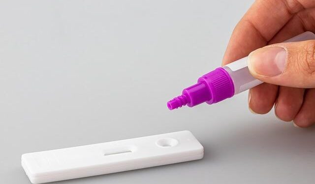 Unlocking Potential: Arizona Organizations Champion Success in the New U.S. Citizenship Test