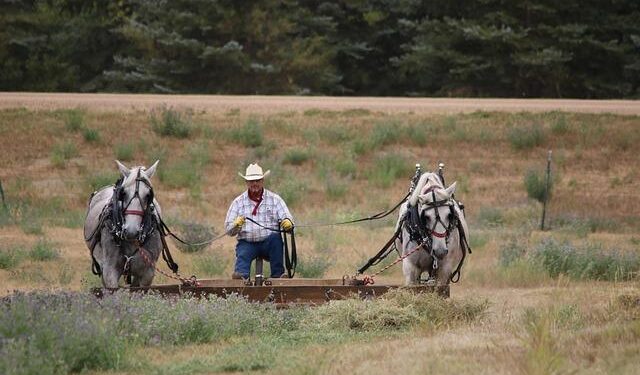 Unleashing North America’s Energy Future: Mexico’s Vital Contribution