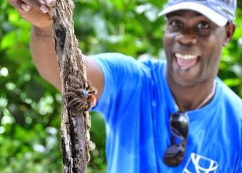 Discovering Martinique: An Exclusive Conversation with Muriel Wiltord on Opening the Gateway to Paradise