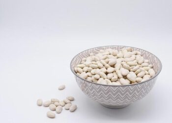 Transform Your Plate: Discover the New Focus on Protein and Say Goodbye to Processed Foods!