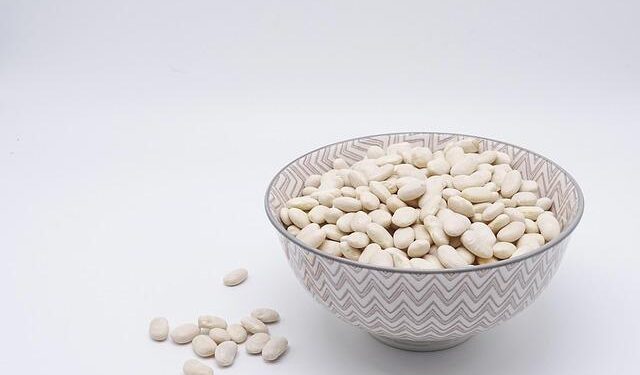 Transform Your Plate: Discover the New Focus on Protein and Say Goodbye to Processed Foods!