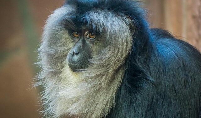 Seizing the Moment: How US Hemispheric Primacy Shapes Saint Lucia and CARICOM’s Future