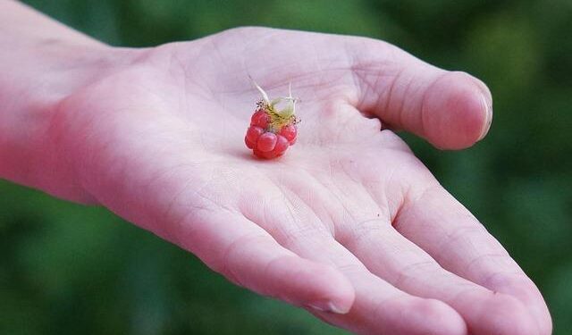 Caribbean Tourism in Crisis: The Ripple Effects of the US-Venezuela Conflict on Popular Destinations!