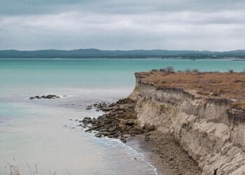 Discover Mateo Blanco: The Colombian-American Artist Revolutionizing Miami’s Art Landscape