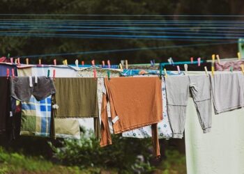 California Fights Back: Lawsuit Launched to Safeguard Clean Air Standards for Vehicles