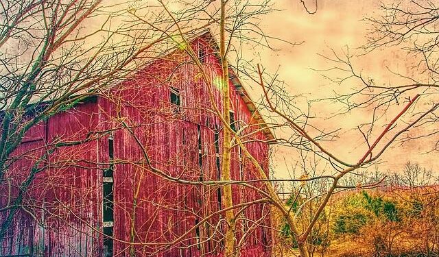 From Rags to Riches: How a Petrostate Transformed with 11 Billion Barrels of Oil