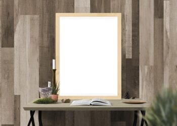 Construction Kicks Off on Divisive Border Wall, Endangering Arizona’s Wildlife Corridor