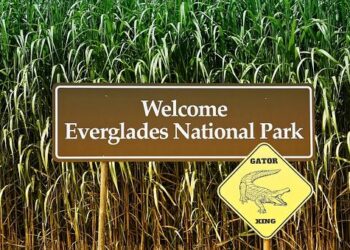 Urgent Alert: Rising Military Activity Sparks Caution for Latin American Oceans