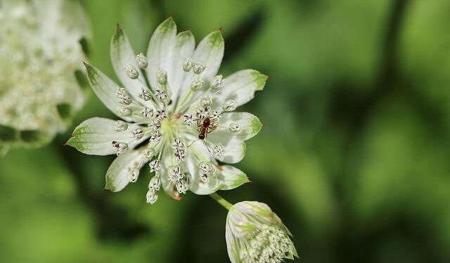 Revolutionizing Coverage: Major US Life Insurer Unveils Groundbreaking Bermuda Reinsurance Captive