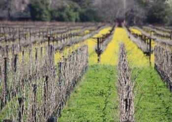 Unveiling California’s Spot in the Ultimate Best States Rankings!