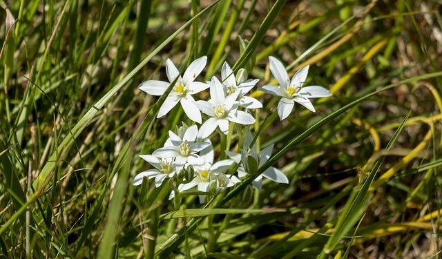 Justin Hastings Dazzles in a Groundbreaking US Open Debut!