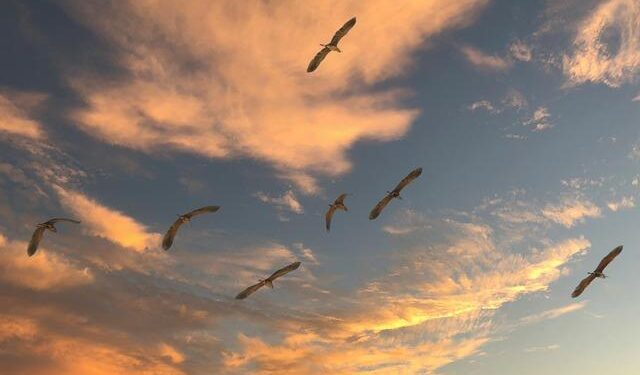 Trump Unveils Controversial Plan for a ‘Permanent Pause’ on Migration from Struggling Nations, Focusing on Haiti and Cuba