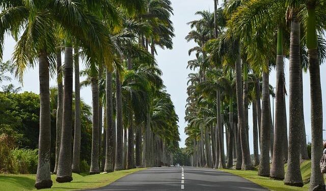 Voices of Change: The Surge of Guadeloupe’s Independence Movement