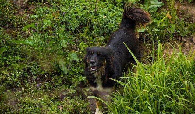 JTF-Bravo Mobilizes to Support Jamaica in Hurricane Melissa Recovery Efforts