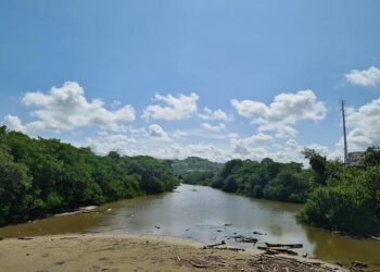 Explosive Claims: Former Captain Zambrano and Two Other Peru Footballers Accused of Sexual Assault