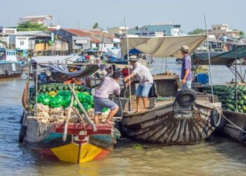 Epic Showdown: Dominican Republic Battles Guadeloupe for RAN Trophy Glory!