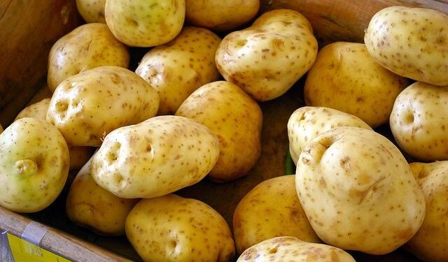 Discover the Arkansas Farmer Transforming the World of American Sake!